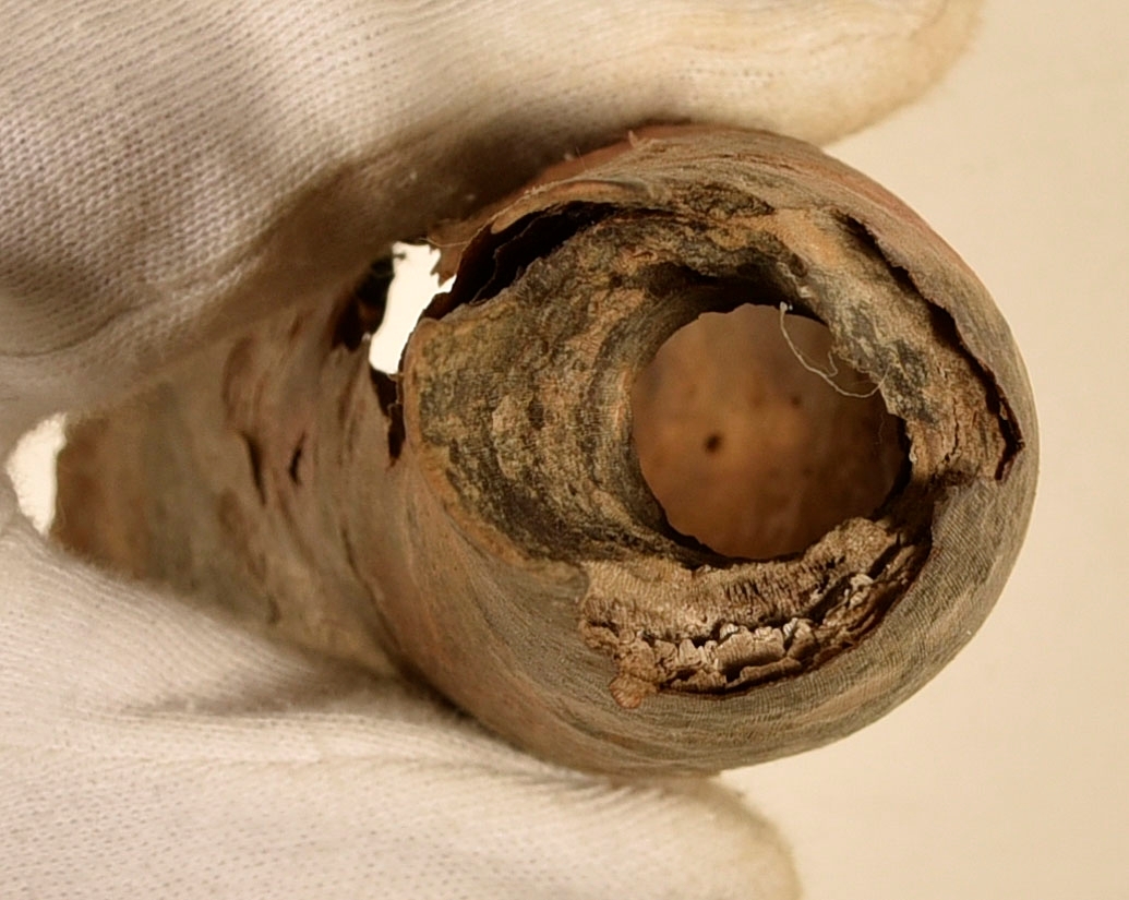 1st kohorn splittrat och brutet i två delar.
Hornet har märken efter tre stycken band/beslag som suttit runt hornet samt ett hål i kanten vid hornets mynning.