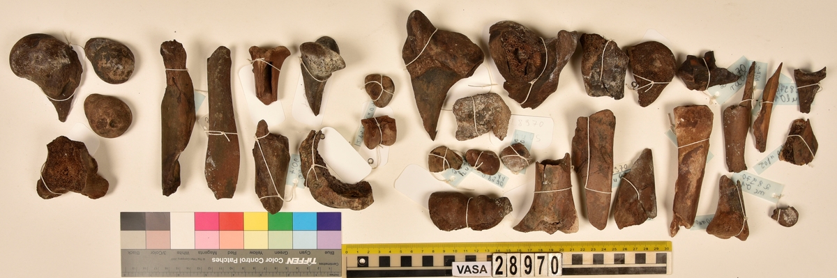 Ben från djur.
Blandade djurben av däggdjur - flera arter. Ca. 225 st. ben eller fragment av ben. Benen är ej art- eller benslagsbedömda.