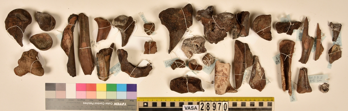 Ben från djur.
Blandade djurben av däggdjur - flera arter. Ca. 225 st. ben eller fragment av ben. Benen är ej art- eller benslagsbedömda.