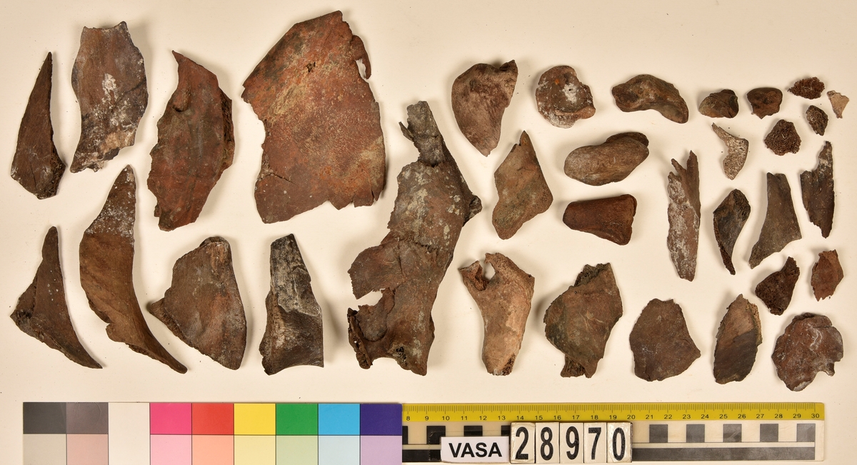 Ben från djur.
Blandade djurben av däggdjur - flera arter. Ca. 225 st. ben eller fragment av ben. Benen är ej art- eller benslagsbedömda.
