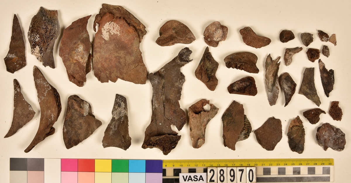 Ben från djur.
Blandade djurben av däggdjur - flera arter. Ca. 225 st. ben eller fragment av ben. Benen är ej art- eller benslagsbedömda.