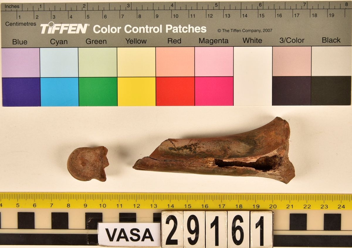 Ben från svin (Sus domesticus).
1 st. skenben (tibia).
1 st. ledyta av mellanhandsben (epifys av metacarpus).