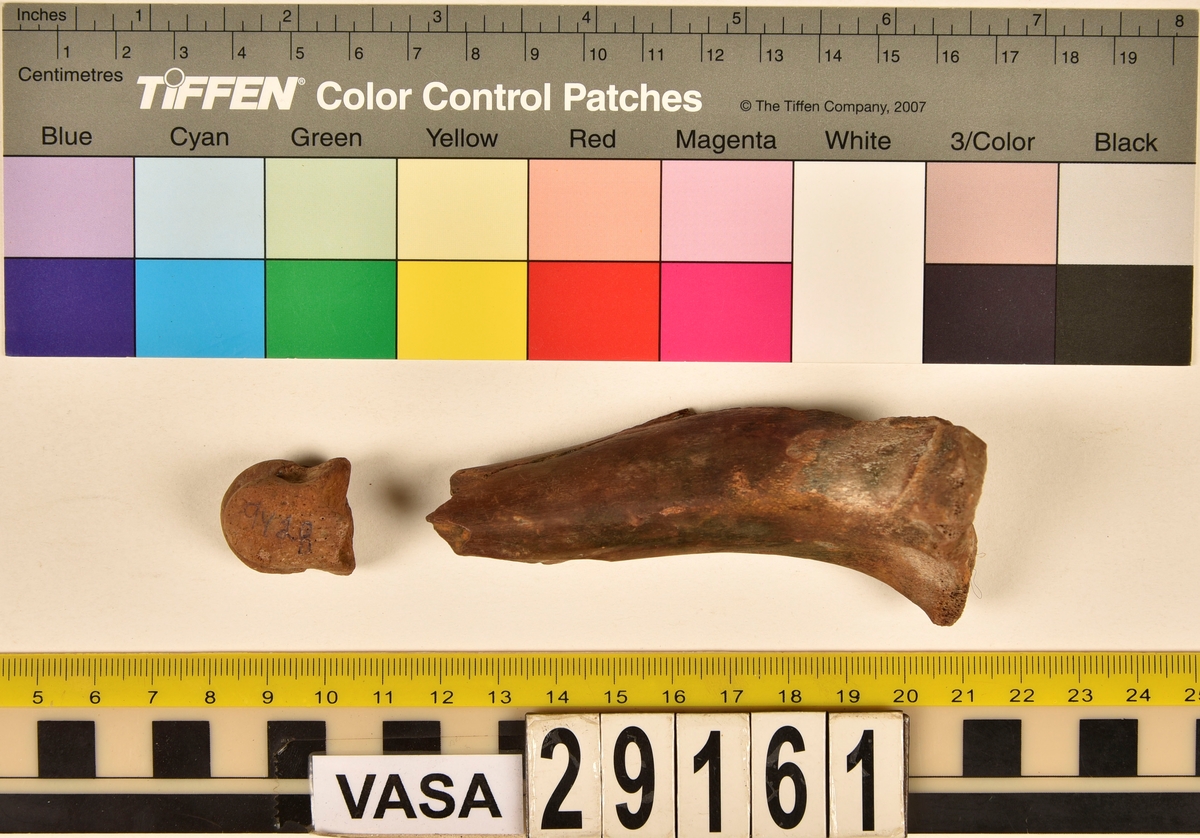 Ben från svin (Sus domesticus).
1 st. skenben (tibia).
1 st. ledyta av mellanhandsben (epifys av metacarpus).