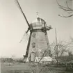 Holländsk kvarn strax ovanför vägskälet mellan stora landsvägen och Färjestadsvägen. Under reparation våren 1957. Vid en senare reparation har spånet på taket ersatts med plåt.