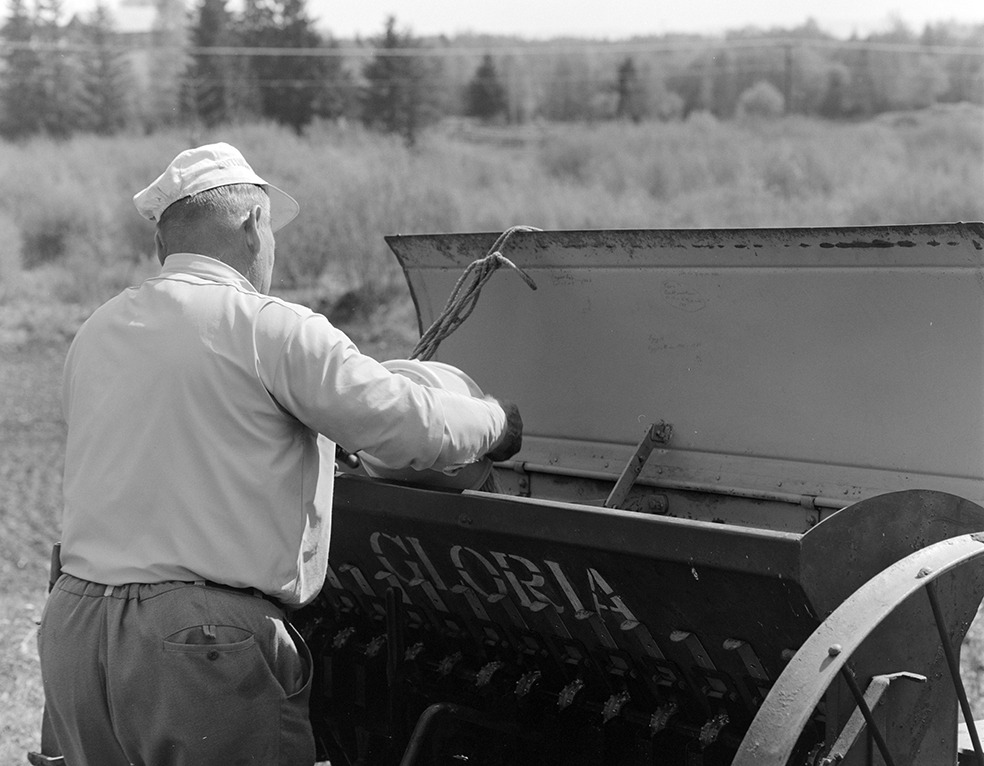 Våronn, Nordvold gard, Gnr.43, bnr.5, Løten. Gardbruker Paul Nordvold. Hest, hesteredskap, såmaskin,