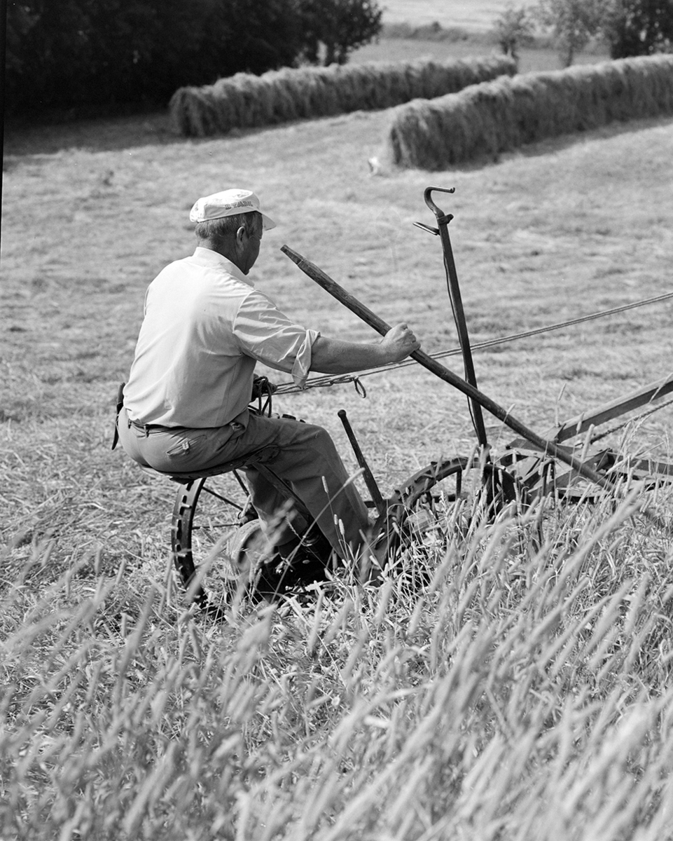 Slåttonn, Nordvold gard, Gnr.43, bnr.5, Løten. Gardbruker Paul Nordvold. Hest, hesteredskap,