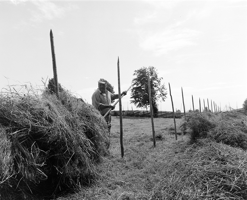 Slåttonn, Nordvold gard, Gnr.43, bnr.5, Løten. Gardbruker Paul Nordvold. Hest, hesteredskap,
