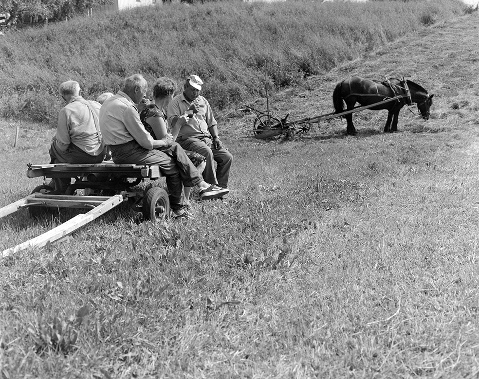 Slåttonn, Nordvold gard, Gnr.43, bnr.5, Løten. Gardbruker Paul Nordvold. Hest, hesteredskap,