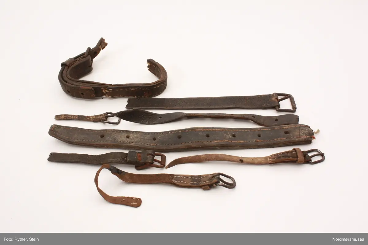 sa) Rund, dreiet treeske med lokk. Inneholder 1,5-2 cm lange pinner med spiss i ene enden. Mye bek utenpå esken.
sb) Avlang pappeske med lokk. Inneholder diverse låser, skruer o.l. 
Påskrift "Polar mixture".
sc) Firkantet sigareske i tre med lokk og hengsler. Inneholder syv trådsneller, en stk. harpiks (?), og en pose med metall "nagler". Lokk sprukket. Fargebilde med neger på.
sd) Syv poser med diverse innhold: Tre med pinner, tre med spiker, en med spenner.
se) Diverse lærbiter, lærreimer, såler osv. Ligger utover i skokrakkens hovedrom.