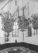 Ätten Gierttas gravkor i Munsö kyrka efter restuarationen 1947.