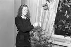 Lucia fröken Backlund. December 1944