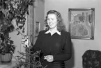 Lucia fröken Backlund. December 1944