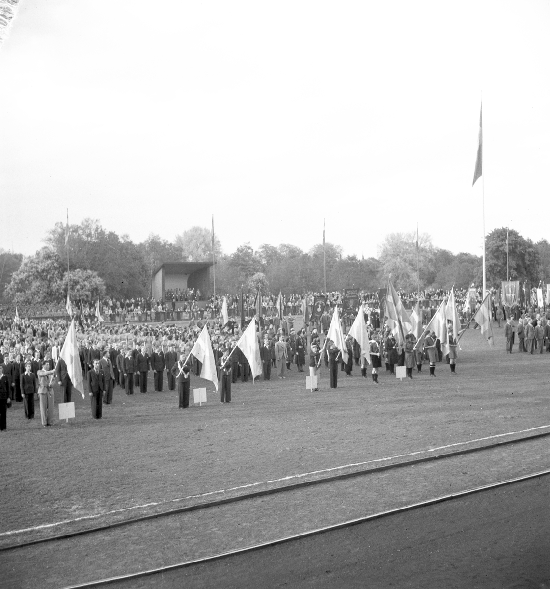Flaggans Dag