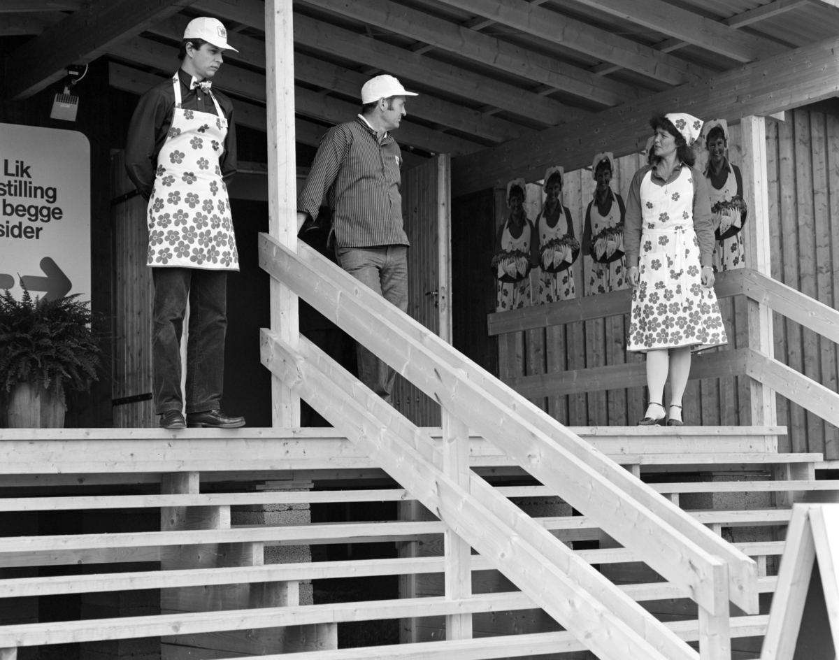 Norske Melkeprodusenters Landsforbund, NML 100 år 1881-1981. Jubileumsdager, utstilling, melkeprodukter, Tine.