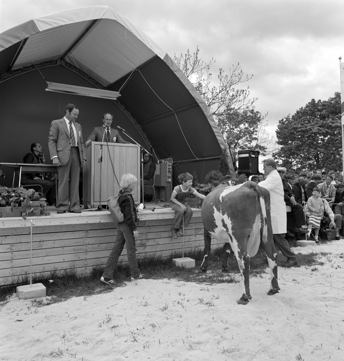 Norske Melkeprodusenters Landsforbund, NML 100 år 1881-1981. Jubileumsutstilling,visningsring, kavalkade over norsk husdyrhold, Domkirkeodden, Hamar.