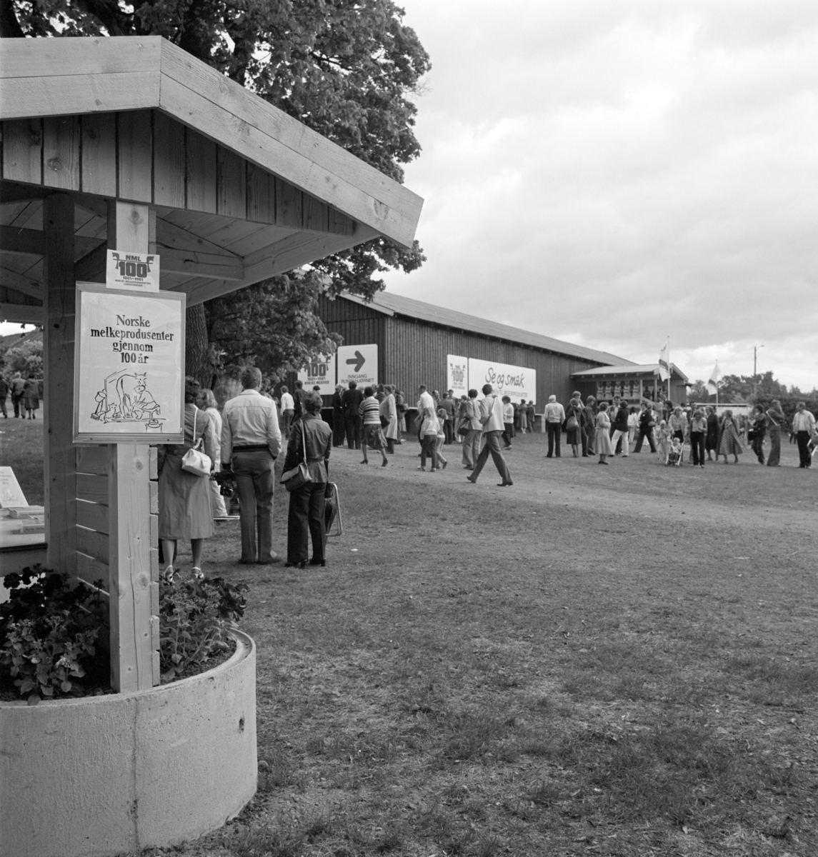 Norske Melkeprodusenters Landsforbund, NML 100 år 1881-1981. Jubileumsutstilling, hall produktutstilling,Domkirkeodden, Hamar.