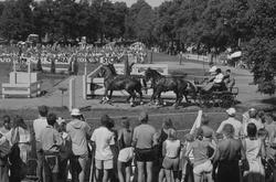 Ryttar VM på Djurgården i Stockholm.