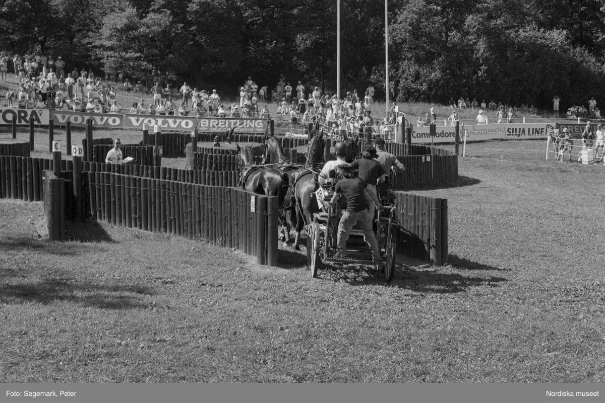 Ryttar VM på Djurgården i Stockholm.