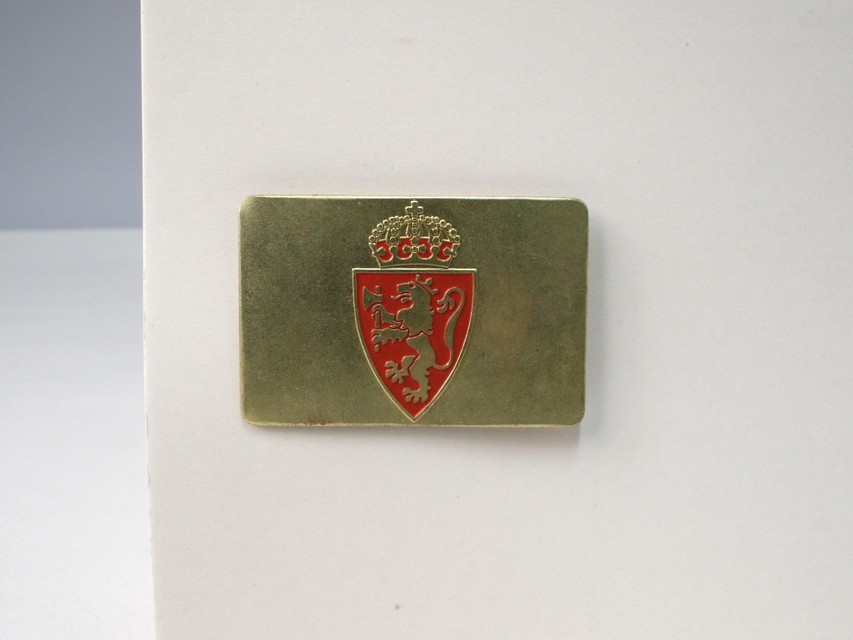 På baksiden fire stifter til å festes med. Riksvåpenet er en mellomting av riksvåpnene av 1905 og 1906, lik riksvåpenet på de andre typen polititegn modell 1944