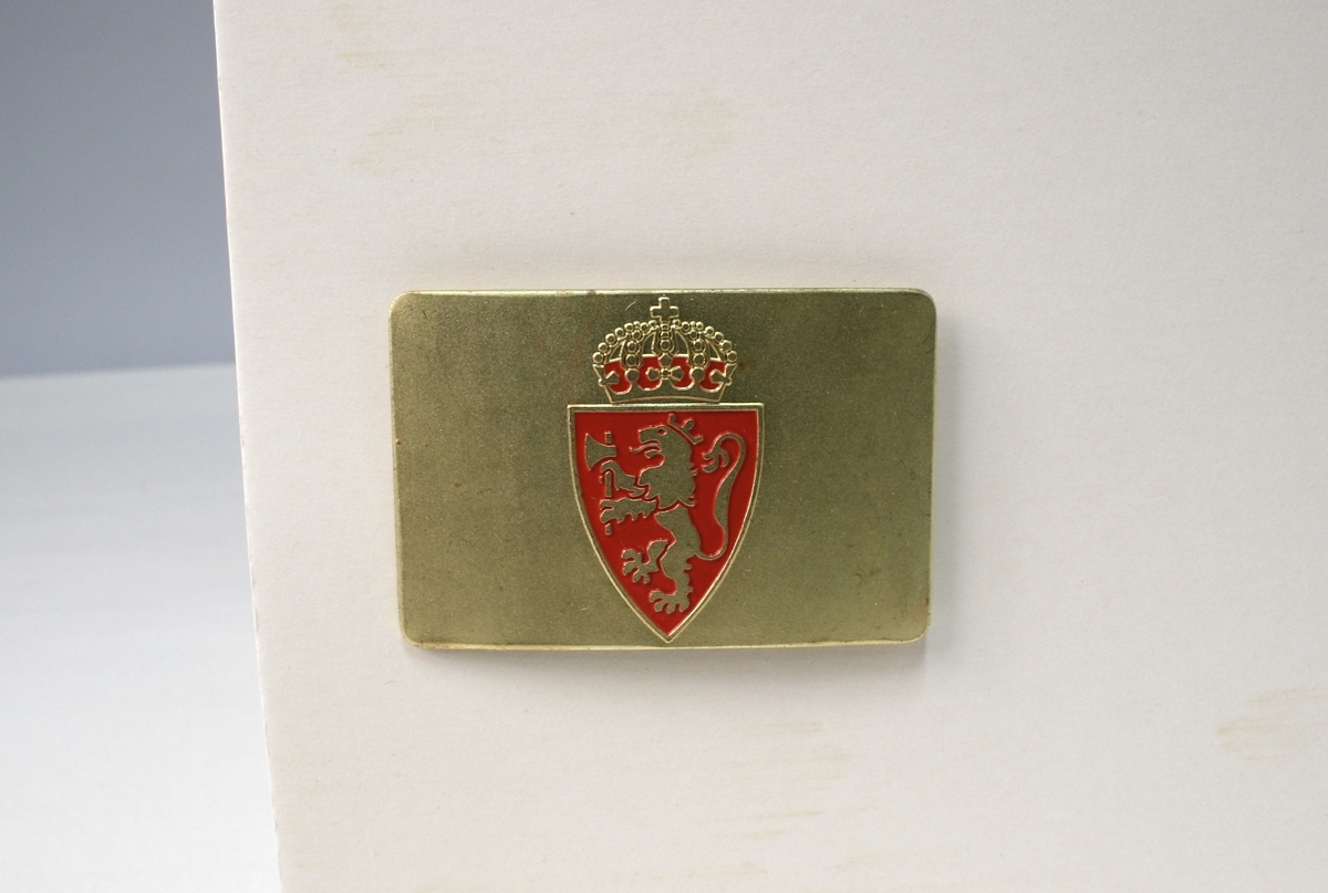 På baksiden fire stifter til å festes med. Riksvåpenet er en mellomting av riksvåpnene av 1905 og 1906, lik riksvåpenet på de andre typen polititegn modell 1944