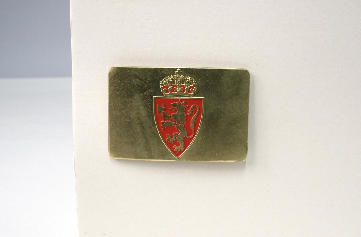 På baksiden fire stifter til å festes med. Riksvåpenet er en mellomting av riksvåpnene av 1905 og 1906, lik riksvåpenet på de andre typen polititegn modell 1944