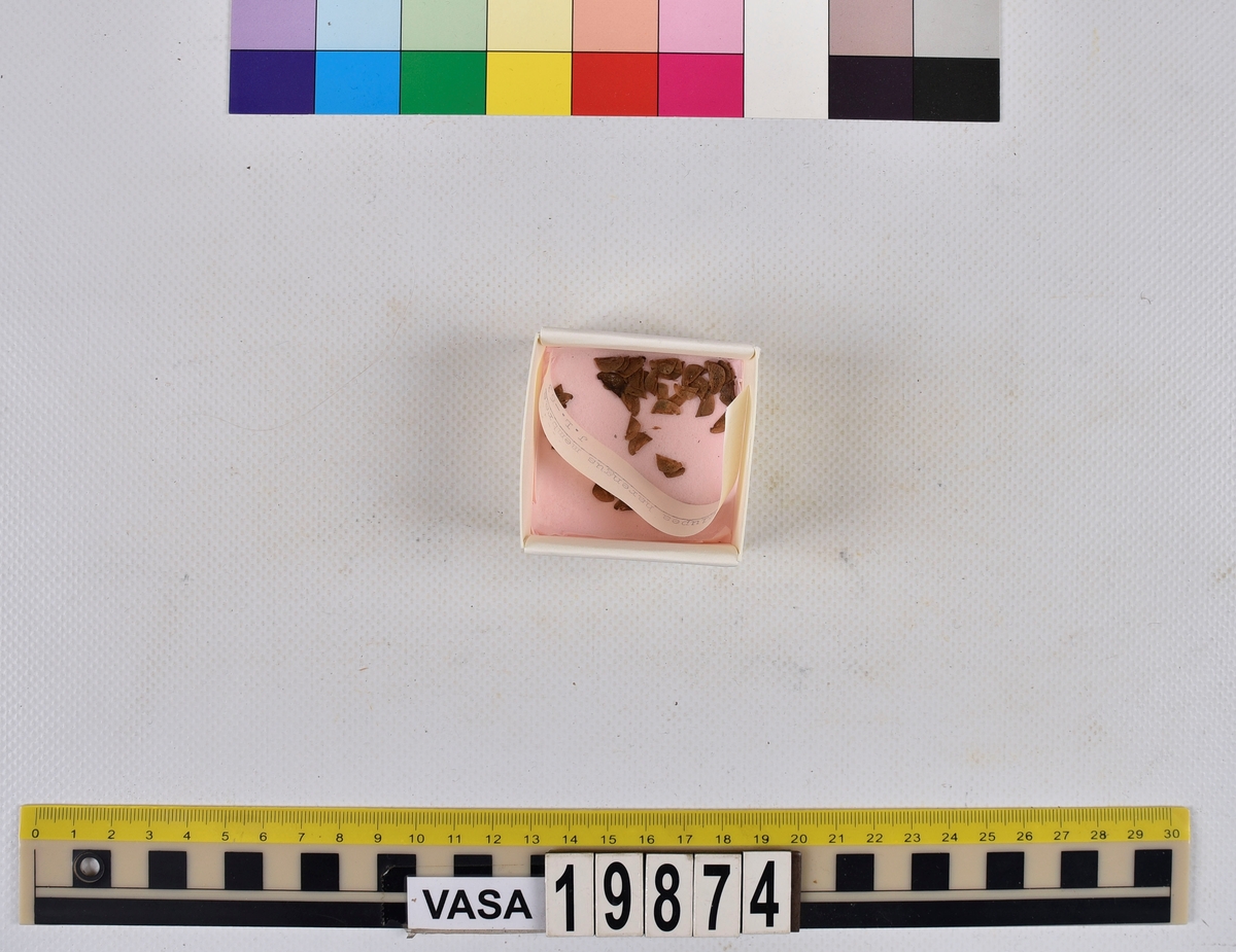 Ben från strömming (Clupea harengus membras).

606 st. kotor (vertebrae).

76 st. (39 sin+37 dx samt en del fragment) dentalia.

66 st. (29+37) hyomandibularia.

67 st. opercularia.

57 st. (29+28) maxillaria.

57 st. (30+27) articularia.

4 st. opisthotica.

54 st. quadrata.

52 st. (29+23) keratohyalia.

48 st. exoccipitalia.

47 st. (24+23) epihyalia.

39 st. (28+11) frontalia.

30 st. urostyli.

10 st. ectopterygoidea.

10 st. (7+3) supracleithralia ventr.

7 st. (4+3) supraleithralia dorsalia.

3 st. parasphenoidea.

2 st. orbitosphenoidea.

1 st. basihyale.

53 st. prootica.