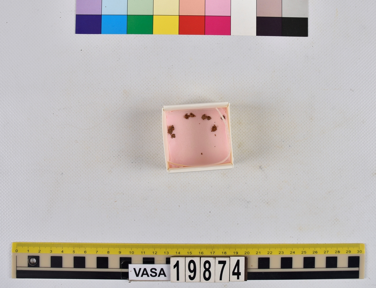 Ben från strömming (Clupea harengus membras).

606 st. kotor (vertebrae).

76 st. (39 sin+37 dx samt en del fragment) dentalia.

66 st. (29+37) hyomandibularia.

67 st. opercularia.

57 st. (29+28) maxillaria.

57 st. (30+27) articularia.

4 st. opisthotica.

54 st. quadrata.

52 st. (29+23) keratohyalia.

48 st. exoccipitalia.

47 st. (24+23) epihyalia.

39 st. (28+11) frontalia.

30 st. urostyli.

10 st. ectopterygoidea.

10 st. (7+3) supracleithralia ventr.

7 st. (4+3) supraleithralia dorsalia.

3 st. parasphenoidea.

2 st. orbitosphenoidea.

1 st. basihyale.

53 st. prootica.