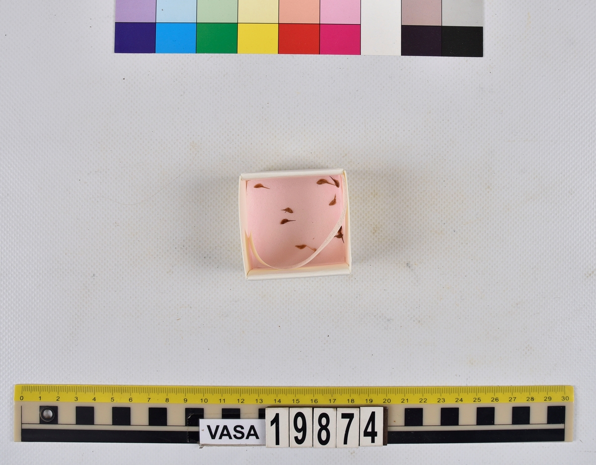 Ben från strömming (Clupea harengus membras).

606 st. kotor (vertebrae).

76 st. (39 sin+37 dx samt en del fragment) dentalia.

66 st. (29+37) hyomandibularia.

67 st. opercularia.

57 st. (29+28) maxillaria.

57 st. (30+27) articularia.

4 st. opisthotica.

54 st. quadrata.

52 st. (29+23) keratohyalia.

48 st. exoccipitalia.

47 st. (24+23) epihyalia.

39 st. (28+11) frontalia.

30 st. urostyli.

10 st. ectopterygoidea.

10 st. (7+3) supracleithralia ventr.

7 st. (4+3) supraleithralia dorsalia.

3 st. parasphenoidea.

2 st. orbitosphenoidea.

1 st. basihyale.

53 st. prootica.