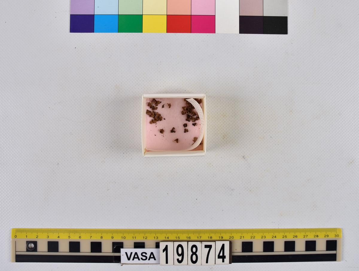 Ben från strömming (Clupea harengus membras).

606 st. kotor (vertebrae).

76 st. (39 sin+37 dx samt en del fragment) dentalia.

66 st. (29+37) hyomandibularia.

67 st. opercularia.

57 st. (29+28) maxillaria.

57 st. (30+27) articularia.

4 st. opisthotica.

54 st. quadrata.

52 st. (29+23) keratohyalia.

48 st. exoccipitalia.

47 st. (24+23) epihyalia.

39 st. (28+11) frontalia.

30 st. urostyli.

10 st. ectopterygoidea.

10 st. (7+3) supracleithralia ventr.

7 st. (4+3) supraleithralia dorsalia.

3 st. parasphenoidea.

2 st. orbitosphenoidea.

1 st. basihyale.

53 st. prootica.