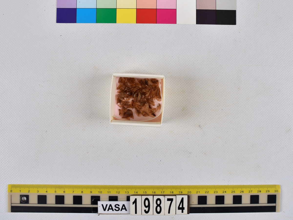 Ben från strömming (Clupea harengus membras).

606 st. kotor (vertebrae).

76 st. (39 sin+37 dx samt en del fragment) dentalia.

66 st. (29+37) hyomandibularia.

67 st. opercularia.

57 st. (29+28) maxillaria.

57 st. (30+27) articularia.

4 st. opisthotica.

54 st. quadrata.

52 st. (29+23) keratohyalia.

48 st. exoccipitalia.

47 st. (24+23) epihyalia.

39 st. (28+11) frontalia.

30 st. urostyli.

10 st. ectopterygoidea.

10 st. (7+3) supracleithralia ventr.

7 st. (4+3) supraleithralia dorsalia.

3 st. parasphenoidea.

2 st. orbitosphenoidea.

1 st. basihyale.

53 st. prootica.