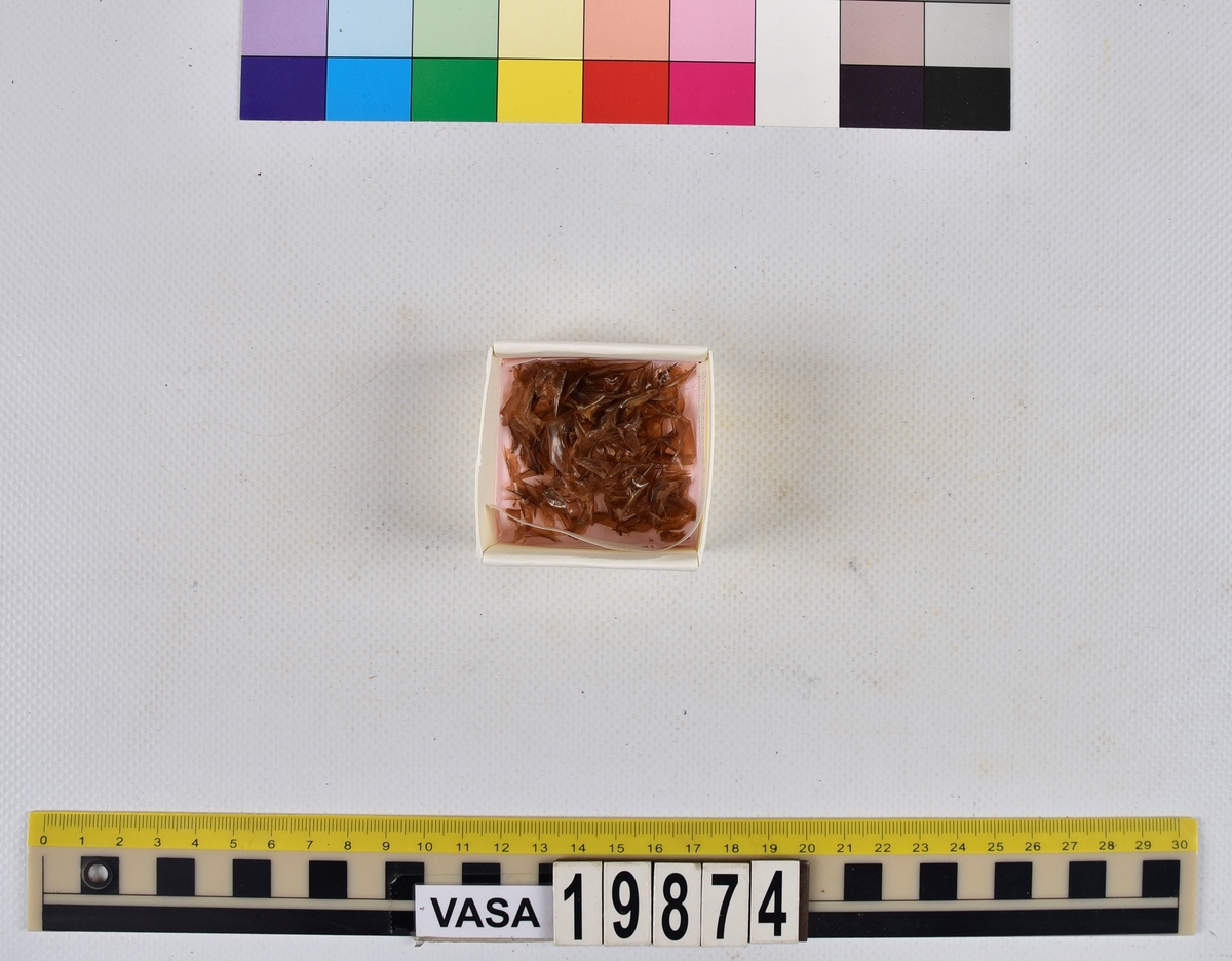 Ben från strömming (Clupea harengus membras).

606 st. kotor (vertebrae).

76 st. (39 sin+37 dx samt en del fragment) dentalia.

66 st. (29+37) hyomandibularia.

67 st. opercularia.

57 st. (29+28) maxillaria.

57 st. (30+27) articularia.

4 st. opisthotica.

54 st. quadrata.

52 st. (29+23) keratohyalia.

48 st. exoccipitalia.

47 st. (24+23) epihyalia.

39 st. (28+11) frontalia.

30 st. urostyli.

10 st. ectopterygoidea.

10 st. (7+3) supracleithralia ventr.

7 st. (4+3) supraleithralia dorsalia.

3 st. parasphenoidea.

2 st. orbitosphenoidea.

1 st. basihyale.

53 st. prootica.