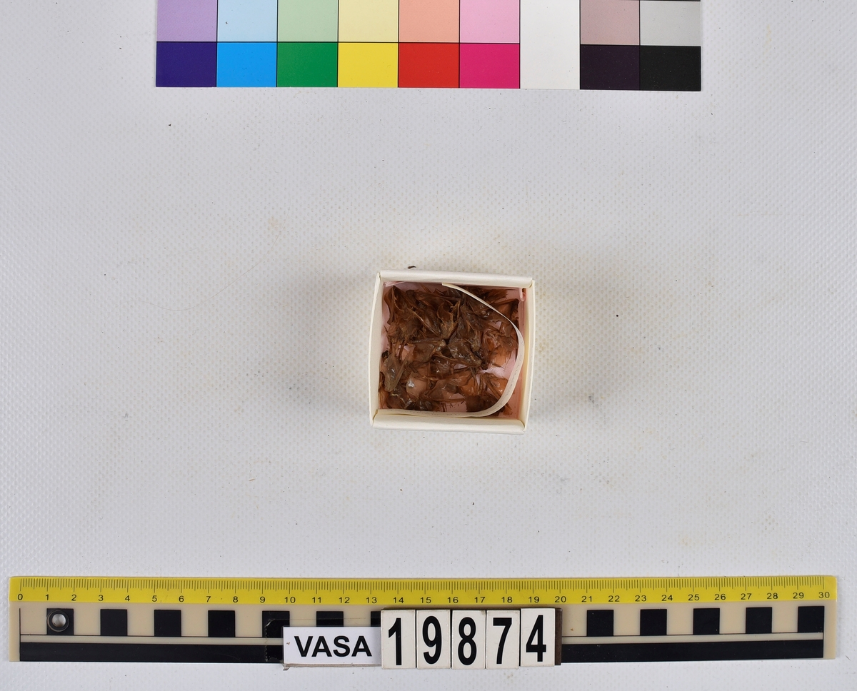 Ben från strömming (Clupea harengus membras).

606 st. kotor (vertebrae).

76 st. (39 sin+37 dx samt en del fragment) dentalia.

66 st. (29+37) hyomandibularia.

67 st. opercularia.

57 st. (29+28) maxillaria.

57 st. (30+27) articularia.

4 st. opisthotica.

54 st. quadrata.

52 st. (29+23) keratohyalia.

48 st. exoccipitalia.

47 st. (24+23) epihyalia.

39 st. (28+11) frontalia.

30 st. urostyli.

10 st. ectopterygoidea.

10 st. (7+3) supracleithralia ventr.

7 st. (4+3) supraleithralia dorsalia.

3 st. parasphenoidea.

2 st. orbitosphenoidea.

1 st. basihyale.

53 st. prootica.