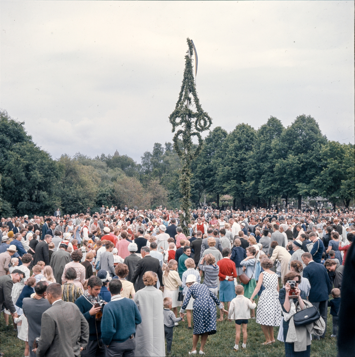 Majstången reses vid midsommarfirandet på Tingsvallen.