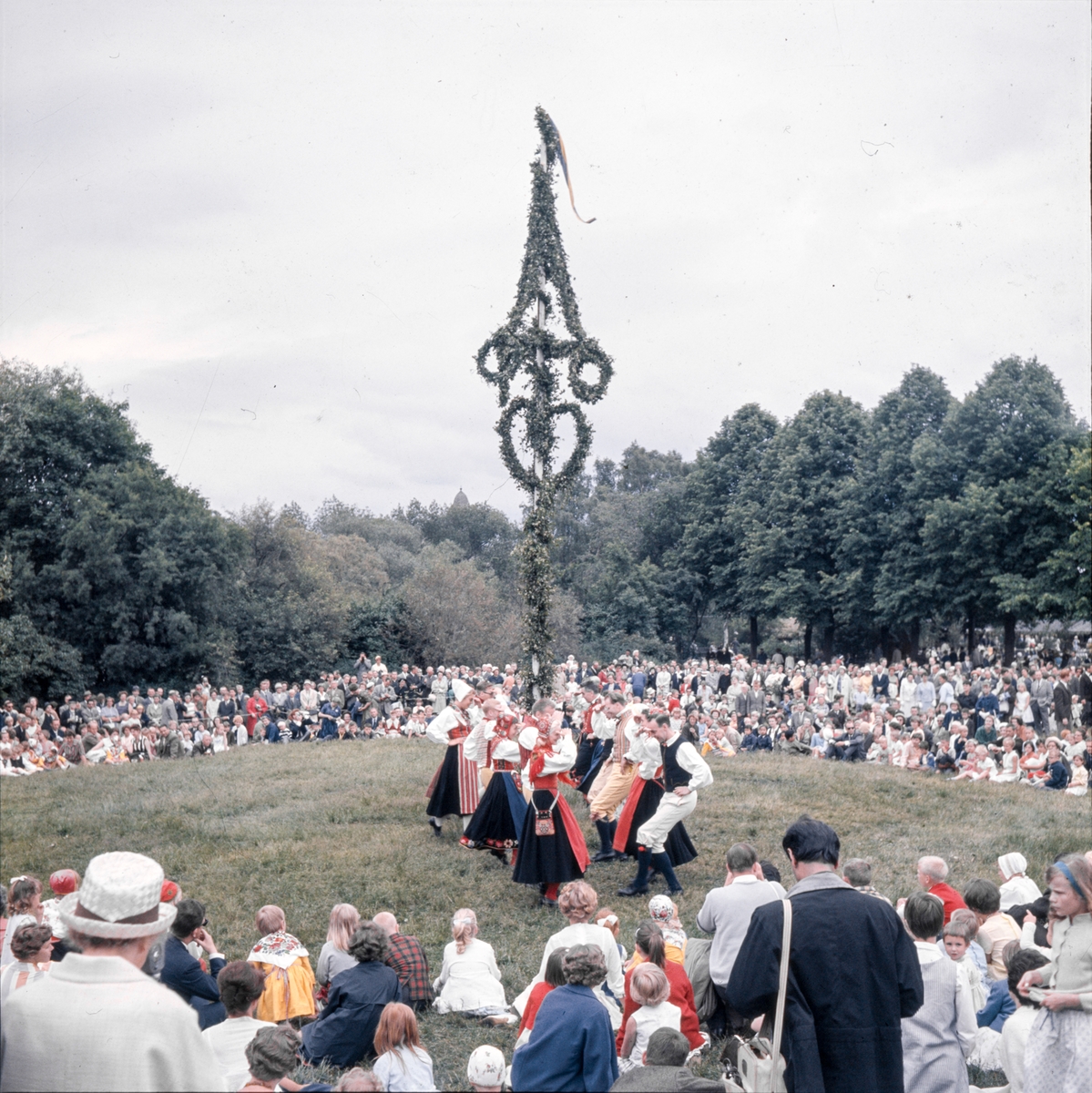 Majstången reses vid midsommarfirandet på Tingsvallen.