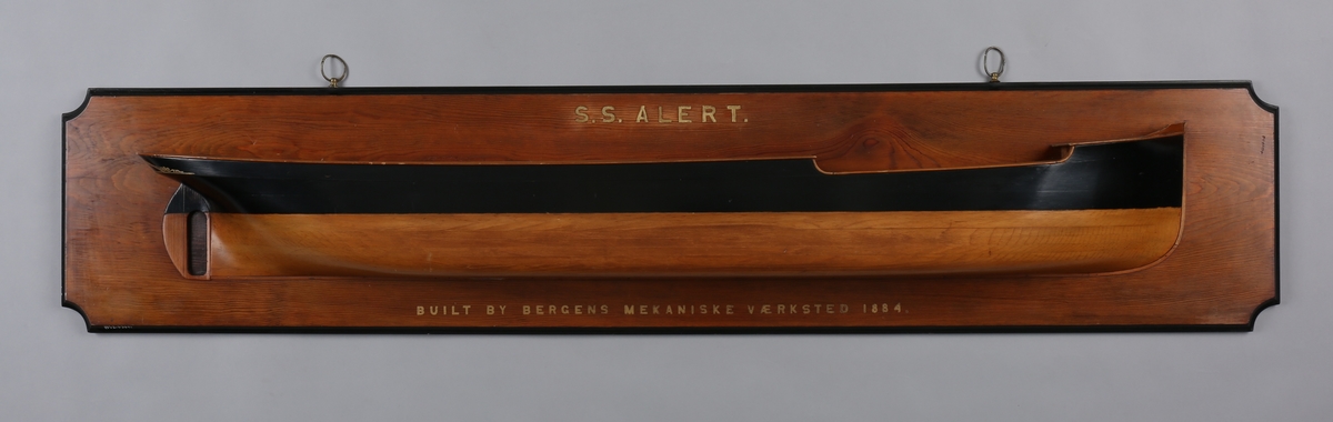 Halvmodell av DS ALERT montert på treplate.