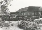 Kohagen och ladugård vid bygatan i Norrby.