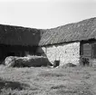 Ladugården i natursten och stråtak på Hagelstad nr. 6.