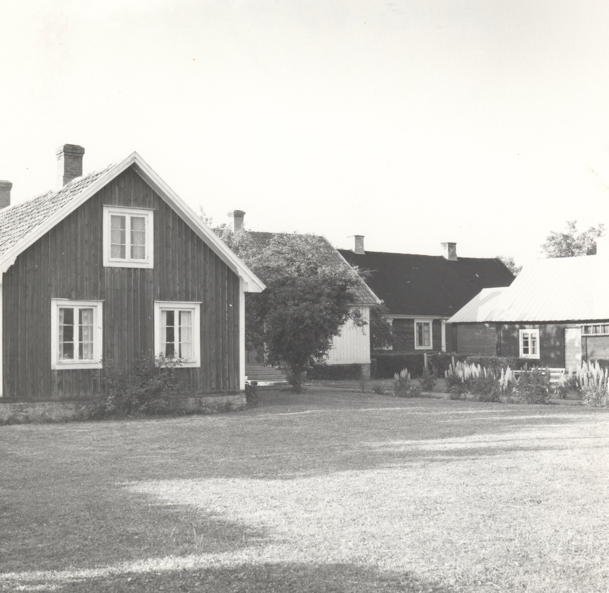 Henry Olssons gård. Från vänster: undantagsbyggnad, huvudbyggnad och brygghus.