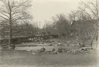 Krutkvarn vid Emån i Läggevi. Originalfotografiet togs av Emil Almbladh, 1890-tal.