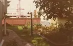 En trädgård i kvarteret Laken och Laxen. Bilderna är tagna inom ramen för Kalmar kommuns inventering av Kalmars bebyggelse 1970-1971 och skänkta till länsmuseet.
