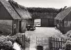 Sture Svenssons gård, sedd mot portskjulet.