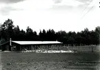 Björkenäs hönseri.
