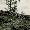 Gravfält på berget 300 meter sydost om Lund, mitt för Gladhammars kyrka. De stora rösena längst i söder.