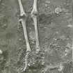 N skelettet, nedre delen med flintabiten i knähöjd, foto från NO.
Foto:Gunnel Forsberg oktober 1965.