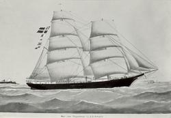 "Svea" från Timmernabben.