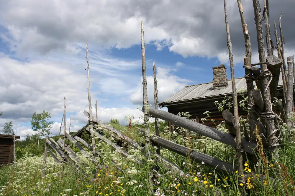 Nærbilde av skigard og blomster.