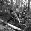 Skogshuggarkurs i Hällefors.
April 1956.