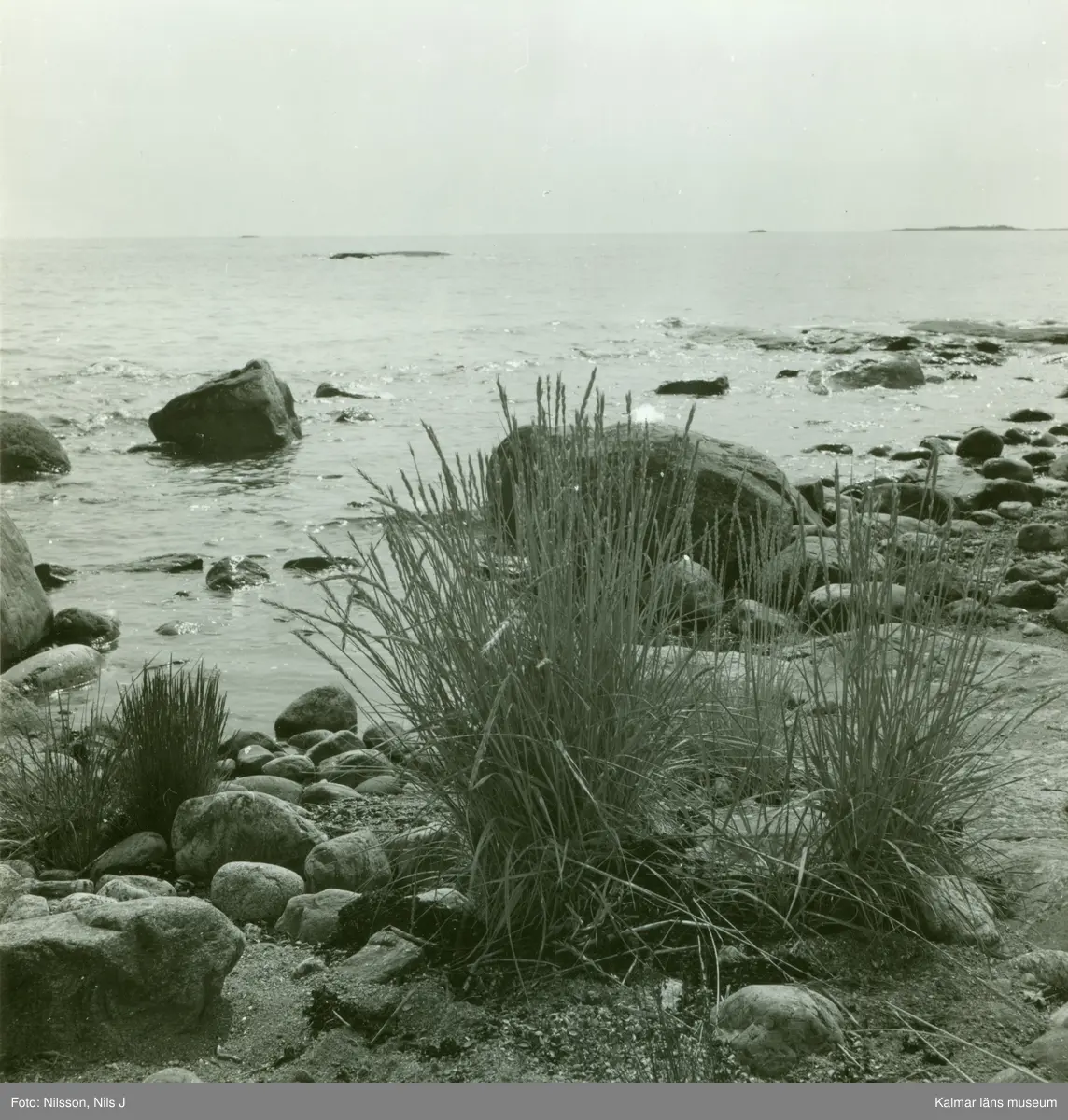 Motiv från stranden på Källskär.