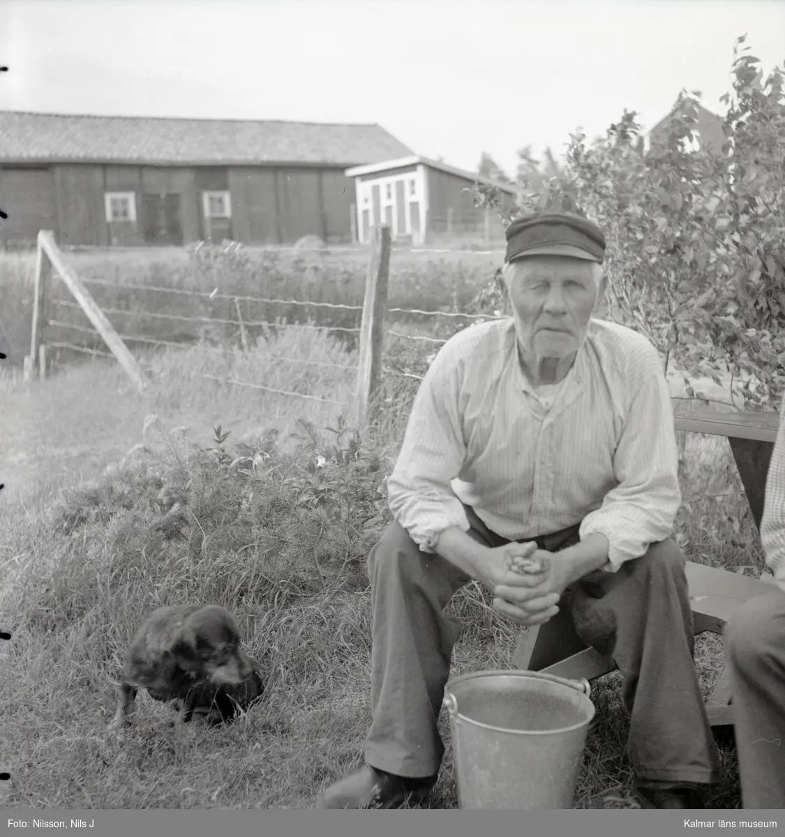 Vilande man och tax på Vinö.