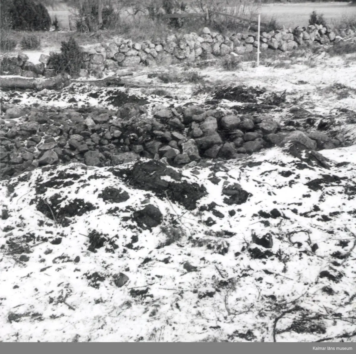 Från arkeologisk undersökning 1961. Stensträngen frilagd.